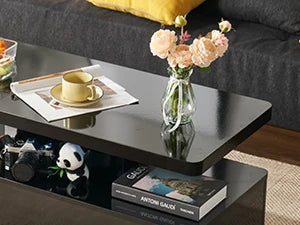 Modern Stylish Coffee Table with 16 Colors LED Lights, Double-Layer Design